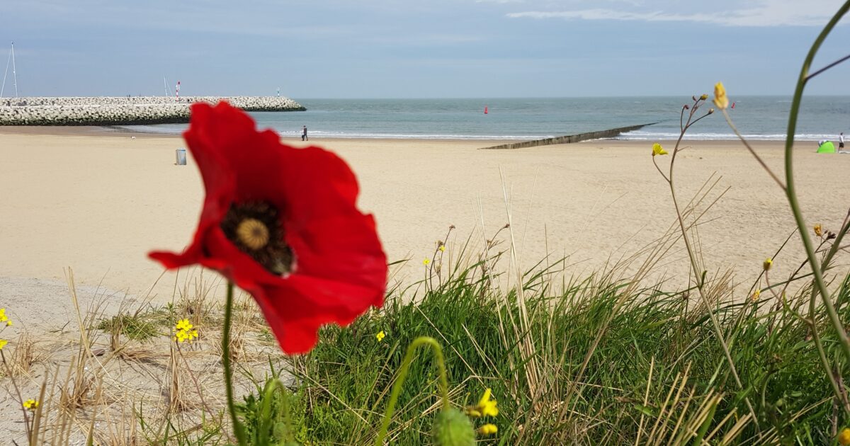 Immo de Nijs | Ferienwohnungen Deurloo 53-16 Land