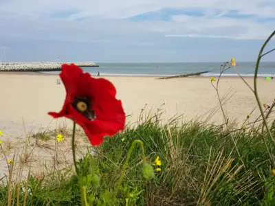 Deurloo 53-16 Ferienwohnung in Cadzand-Bad Zeeland